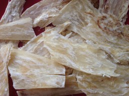 Dang Gui - angelica root, a famous herb for menstrual regulation