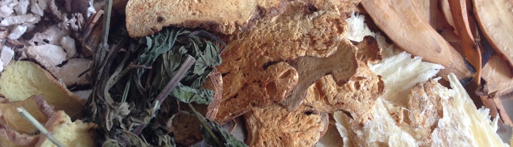 pauline sok yin hwang  黄淑燕