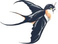 Swallow logo final